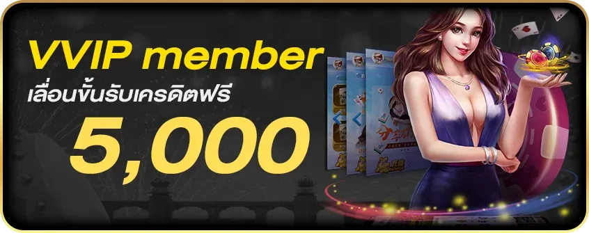 โปรโมชั่น vvip member