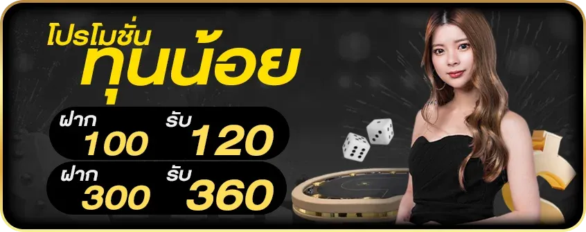 โปรโมชั่นทุนน้อย